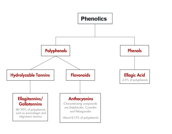 Phenolics Chart